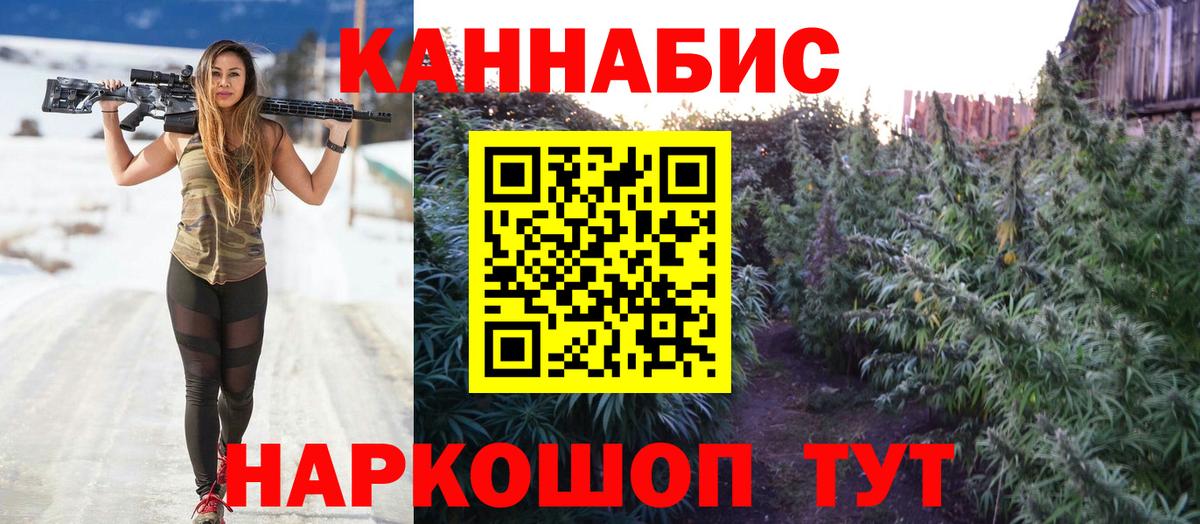 Бошки Шишки сатива Михайловка
